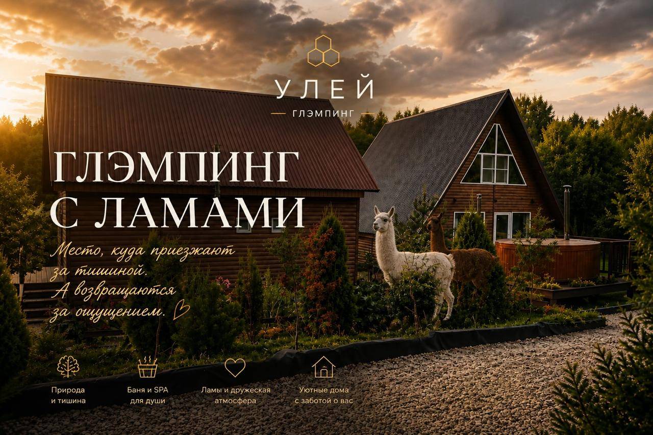 УЛЕЙ глэмпинг с ламами