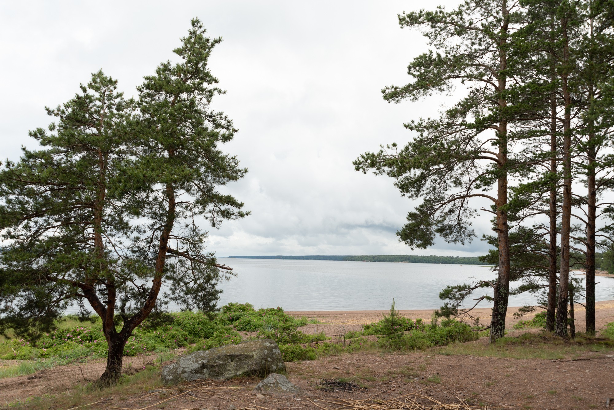 Дача Мюзера