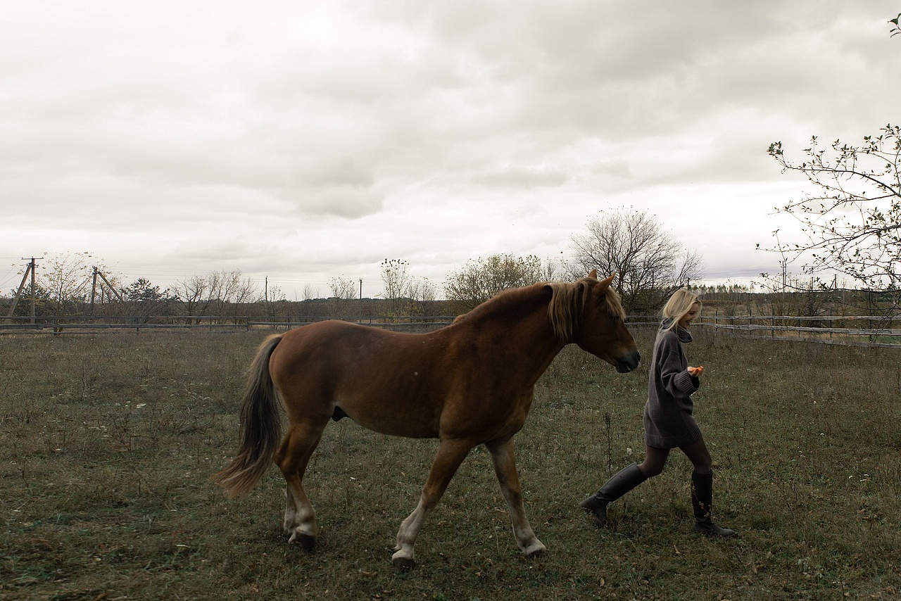 Гостевые дома Гнёзда в лесу