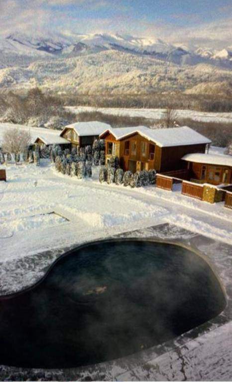 Без названия (3)