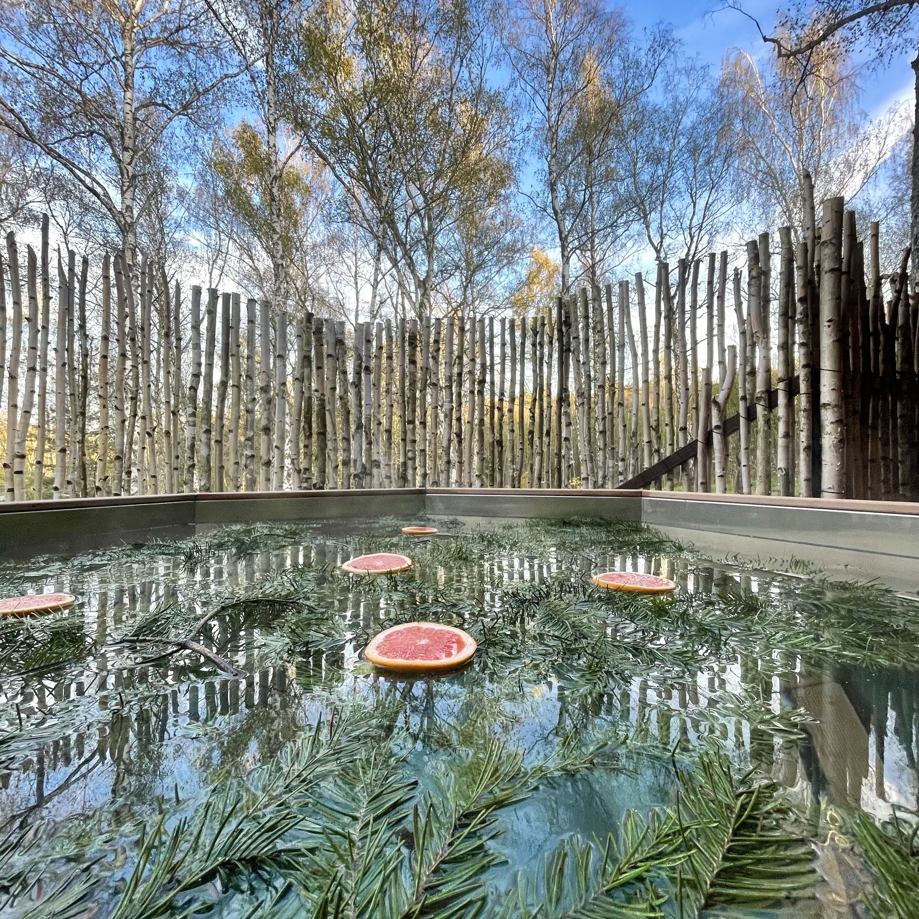 IMG-2422 квадрат