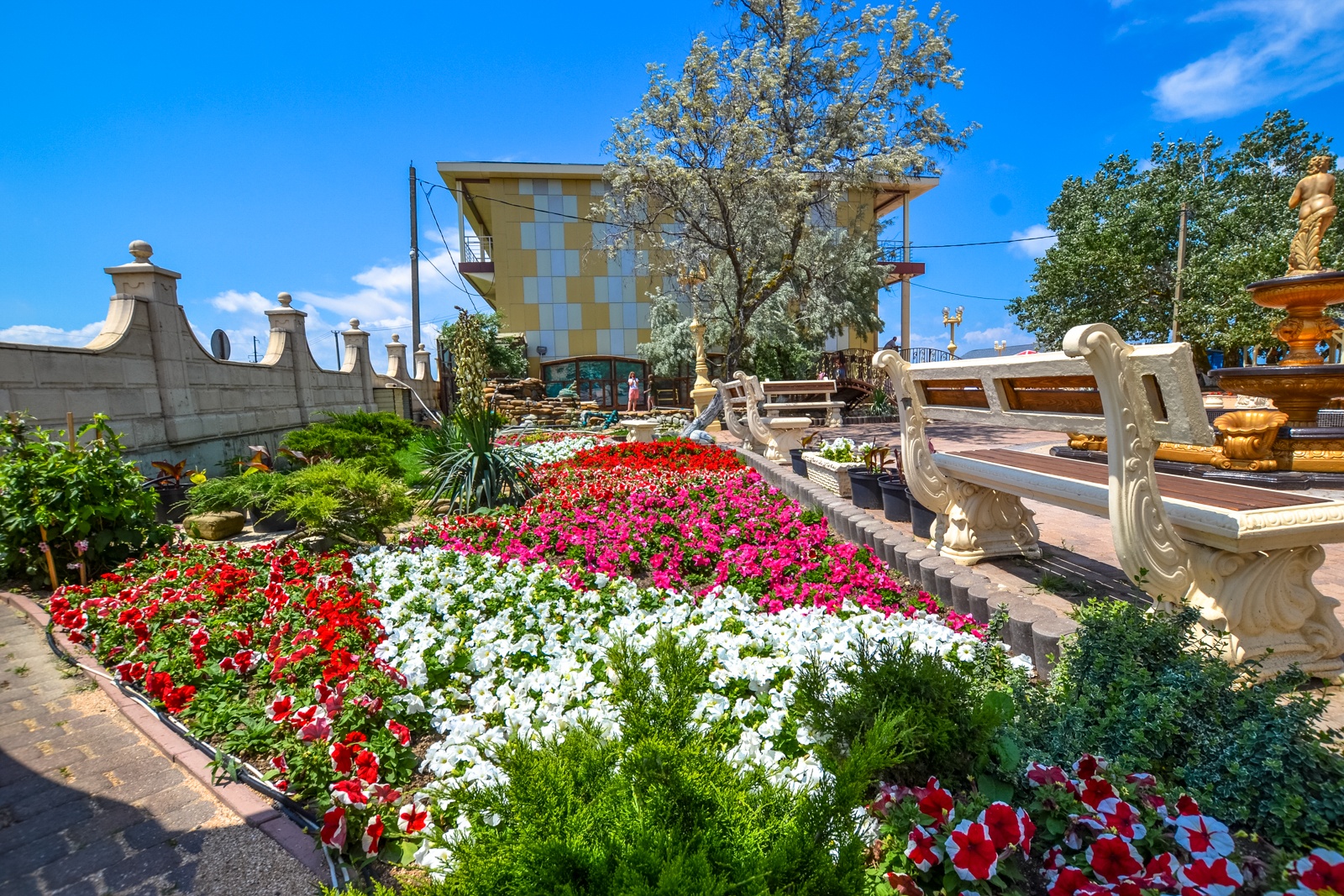 Без названия (1)