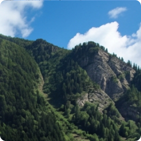 Image (1)
